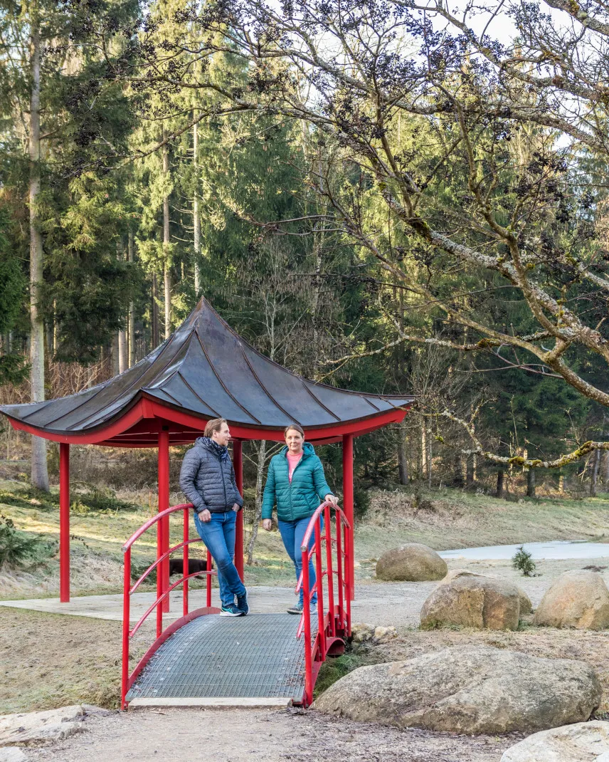 Picture of the Weltwald in Bavaria