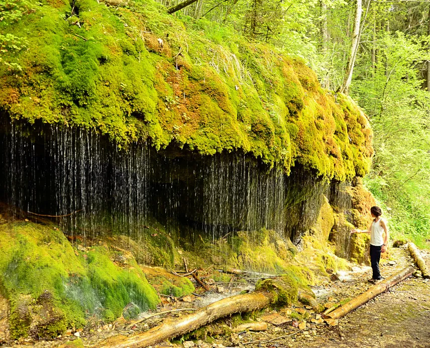 Picture of the Wutach Gorge