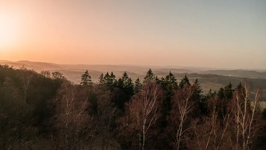 Picture of the Wilzenbergturm