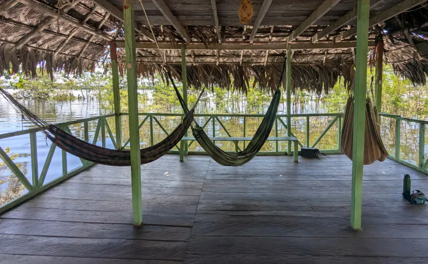 Picture of Hammocks at our lodge