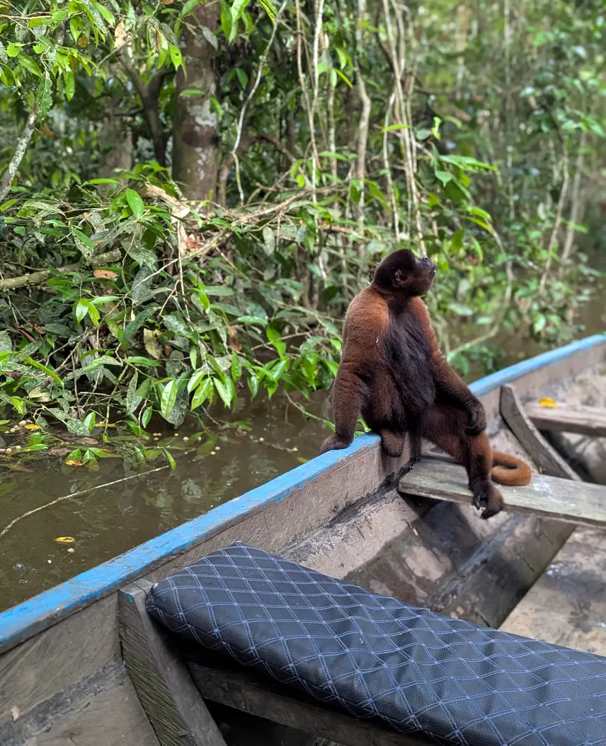 Picture of Picking up a hitchhiker