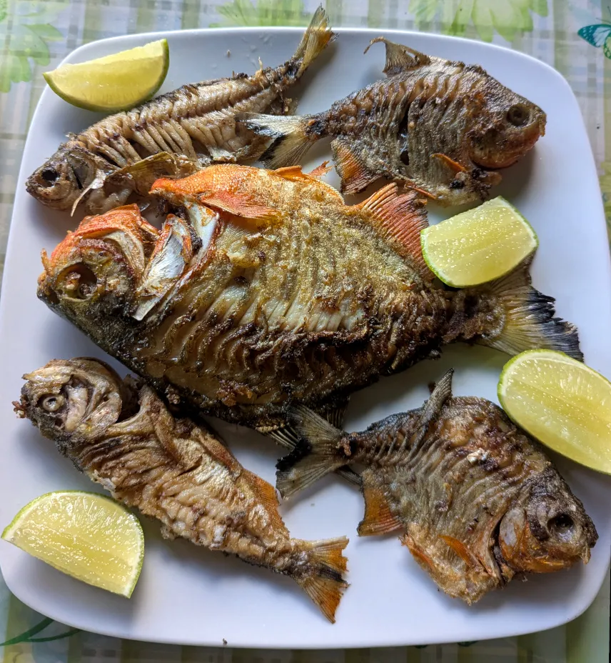 Picture of The piranhas we caught served for lunch