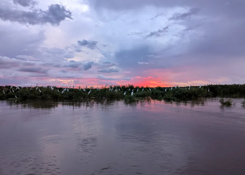 Picture of Sunset in the Amazon rainforest