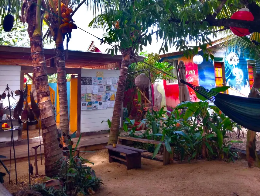 Picture of Funky Dodo Backpackers Hostel