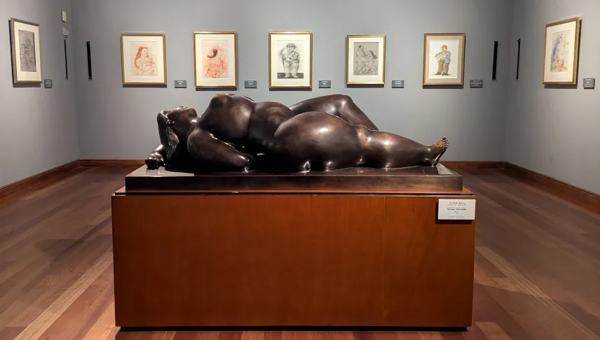 Picture of Botero Museum
