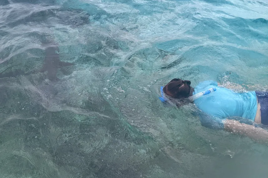 Picture of Snorkelling at Caye Caulker Marine Reserve