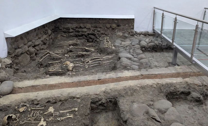 Picture of Museo de de Ciudad