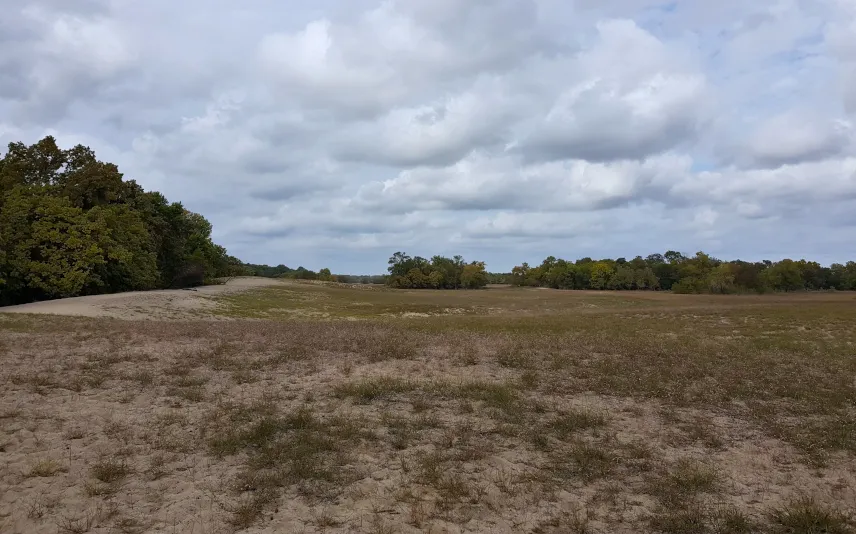 Picture of Letea, Danube Delta