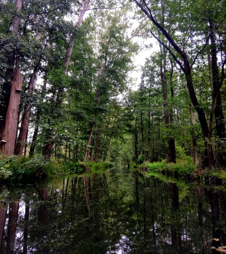 Picture of Lübbenau