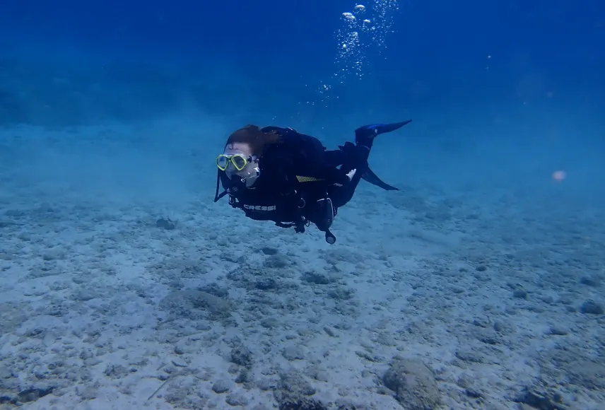 Picture of Diving Cano Island Costa Rica