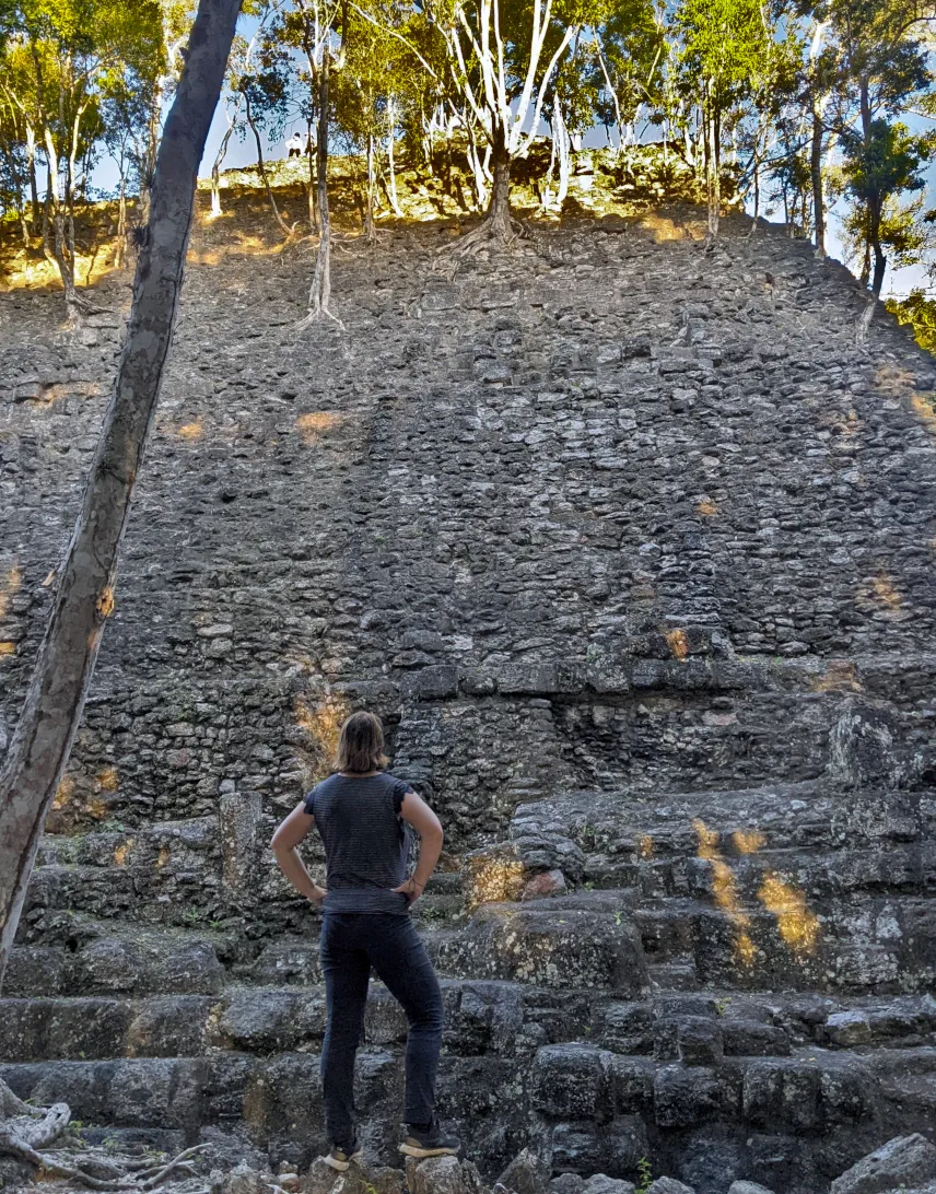 Picture of La Danta, El Mirador