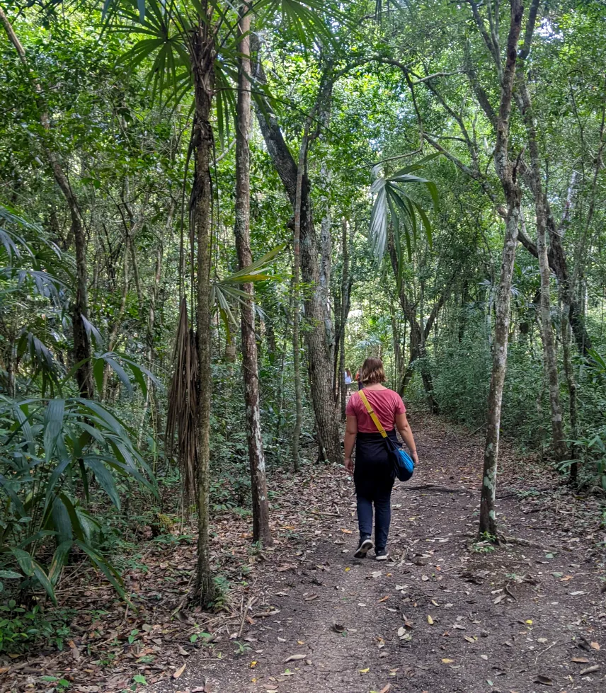 Picture of Path of the El Mirador hike