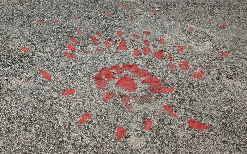 Picture of Rose of Sarajevo