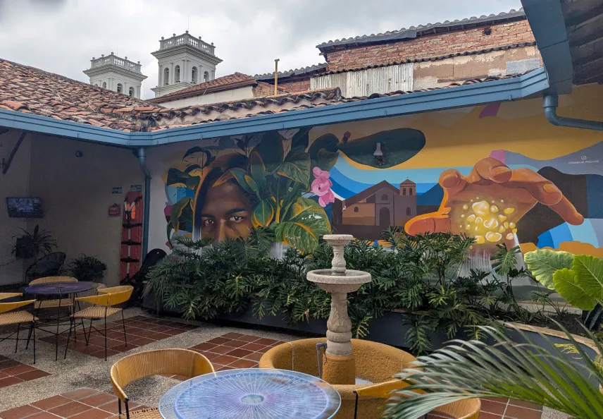 Picture of Trip Monkey Girón