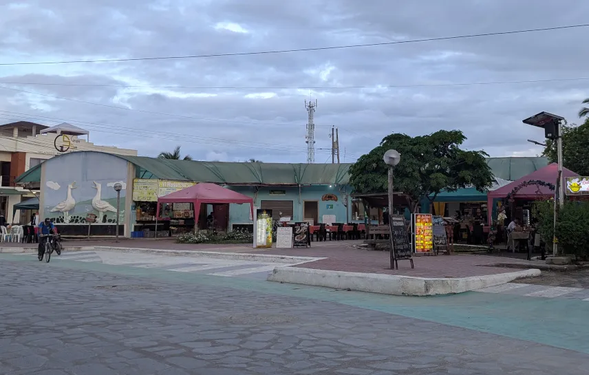 Picture of Puerto Villamil market