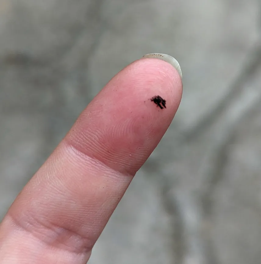 Picture of Ash casually floating in the air