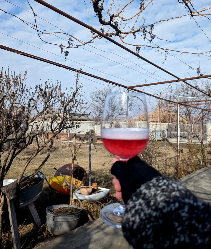 Picture of Drinking Georgian wine
