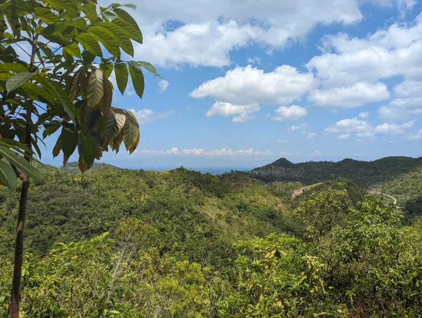 Picture of Walk to Kawasan Falls Canyoneering