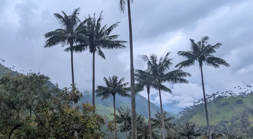 Picture of La Carbonera