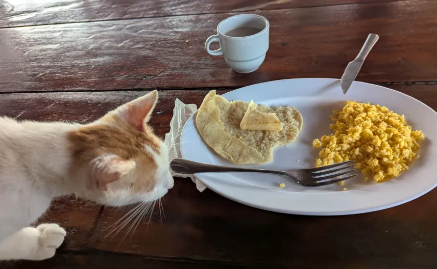 Picture of Food on our La Guajira tour