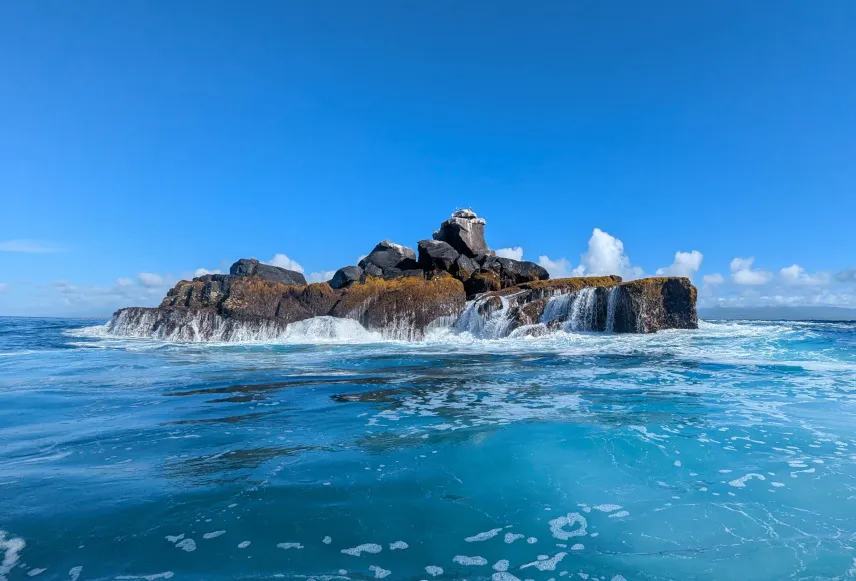 Picture of Birdwatching at Roca Union