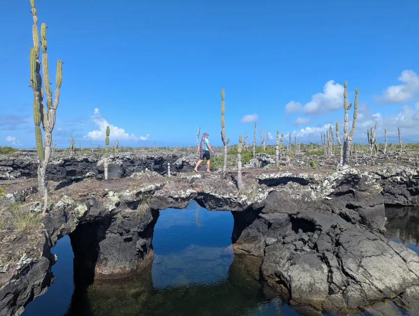 Picture of Walking Around Los Tuneles