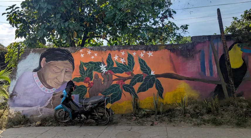 Picture of Street art in Minca