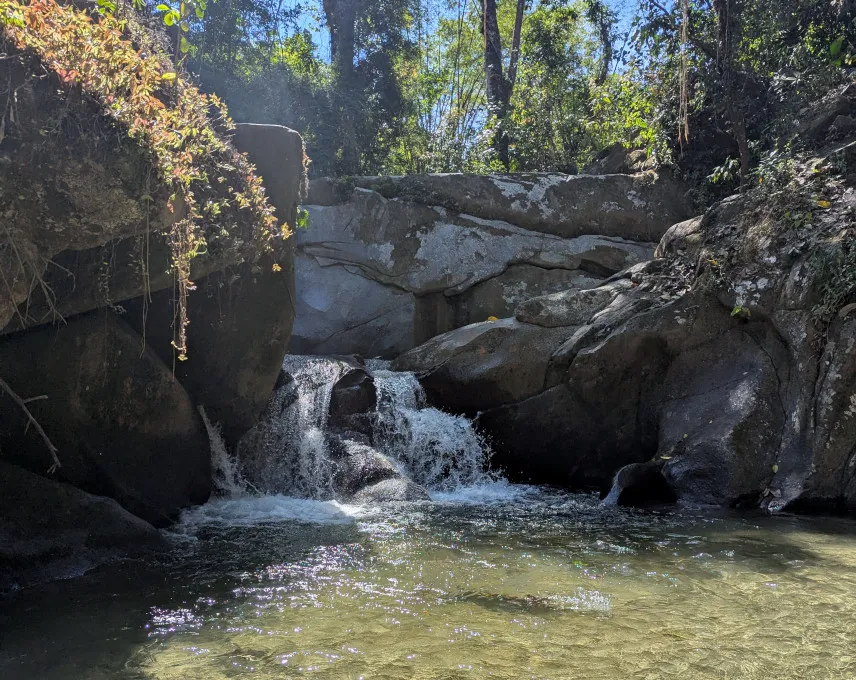 Picture of Ear of the World Minca