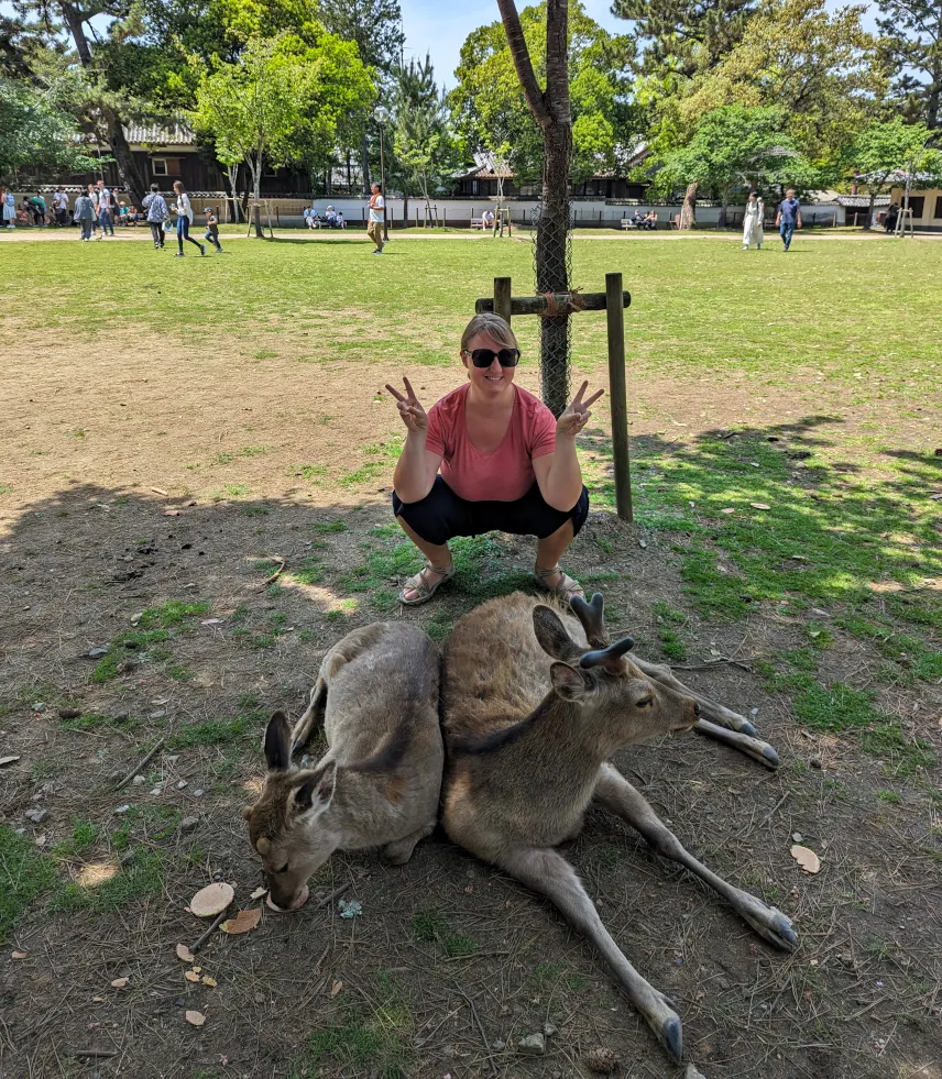 Picture of Sleepy deer in Nara Park