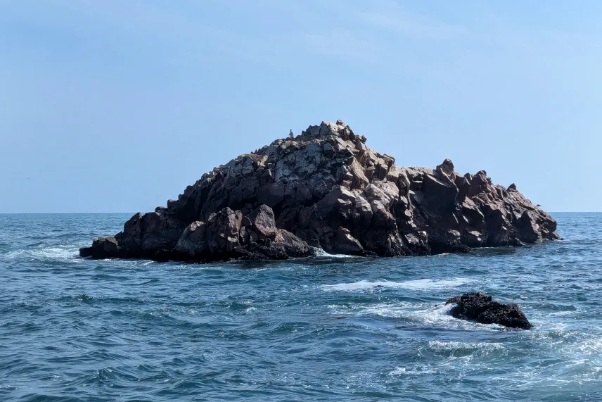 Picture of Penguin on the Ballestas Islands