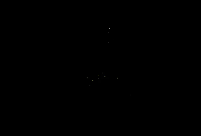 Picture of Fireflies in Puerto Princesa