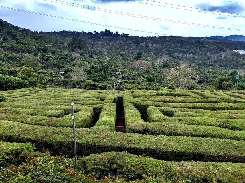 Picture of Cafe Albania in Apaneca