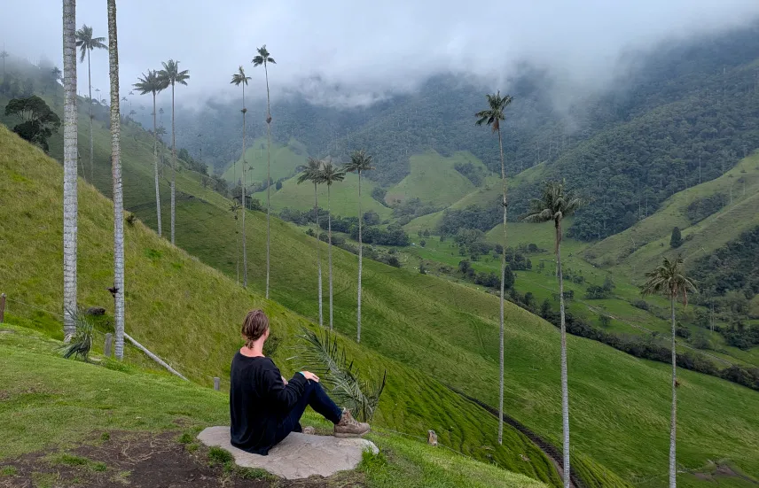 Picture of Valle de Cocora