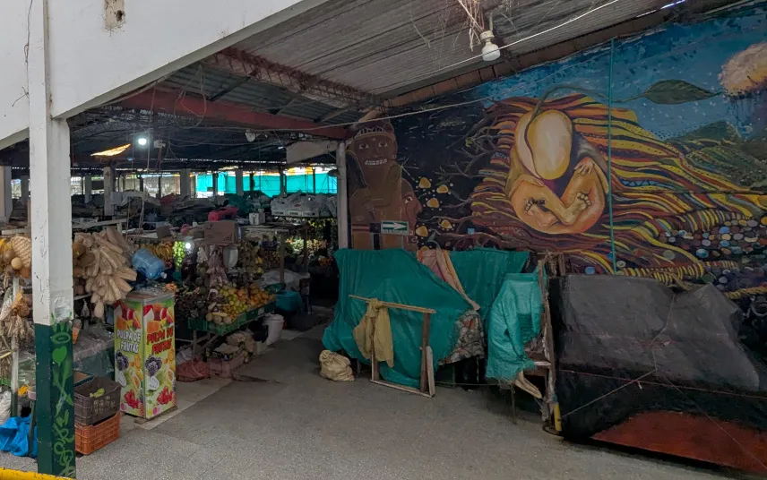 Picture of San Agustin market