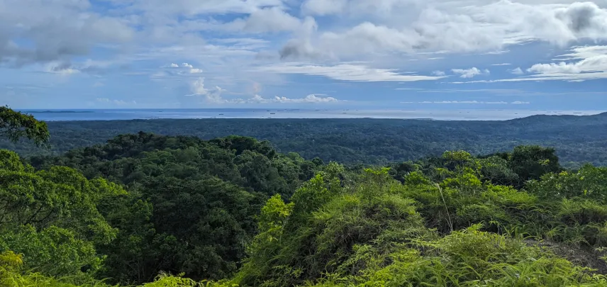 Picture of View of the San Blas Islands from the road