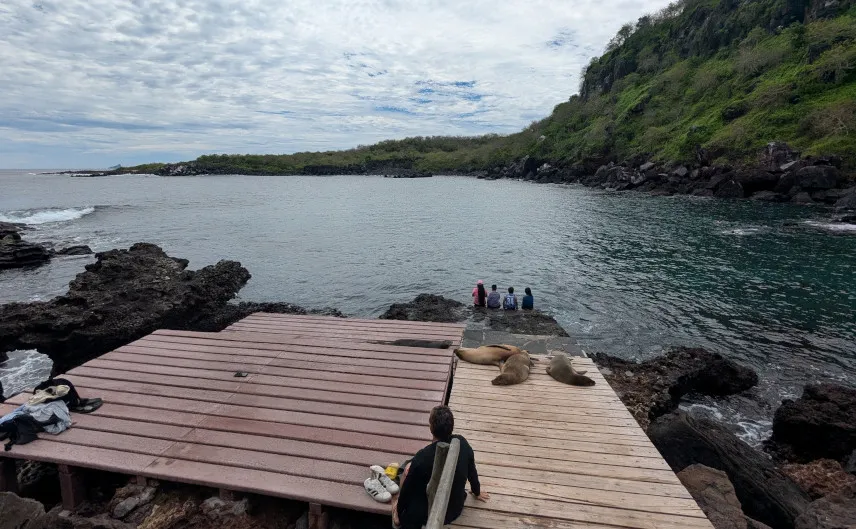 Picture of Tijeretas Dock