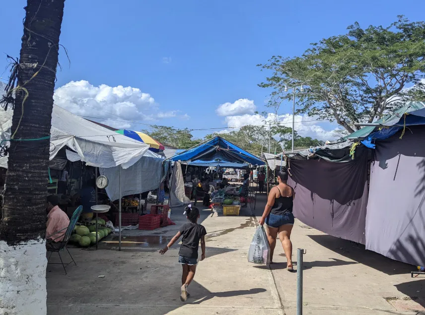 Picture of San Ignacio market