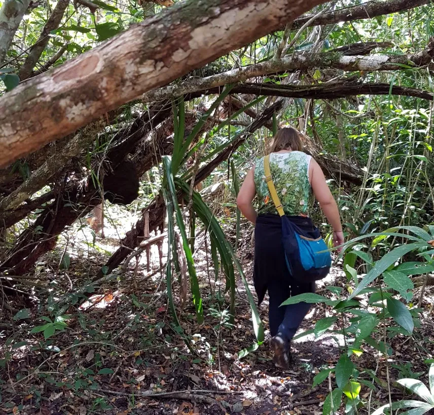 Picture of Wandering the Belizean nature