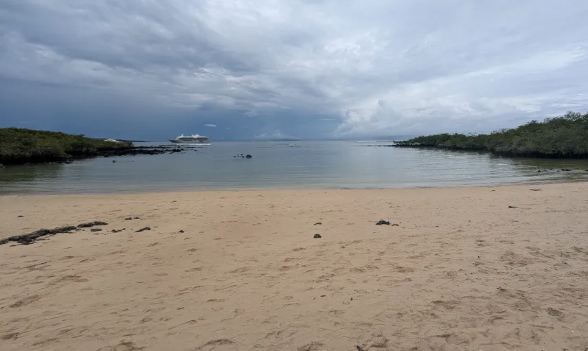 Picture of Playa Aleman