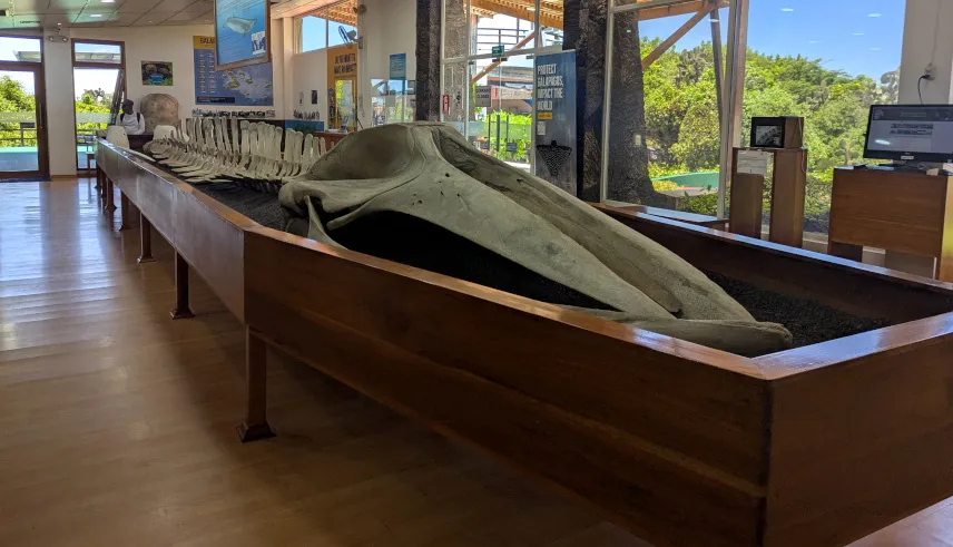 Picture of Charles Darwin Research Station