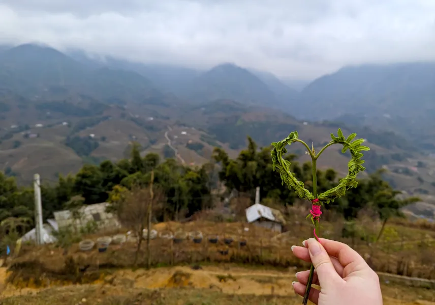 Picture of Sapa Vietnam Hiking