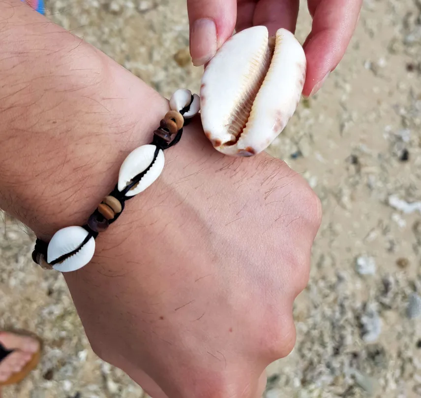 Picture of Finding sea shell on Gilis Lombok