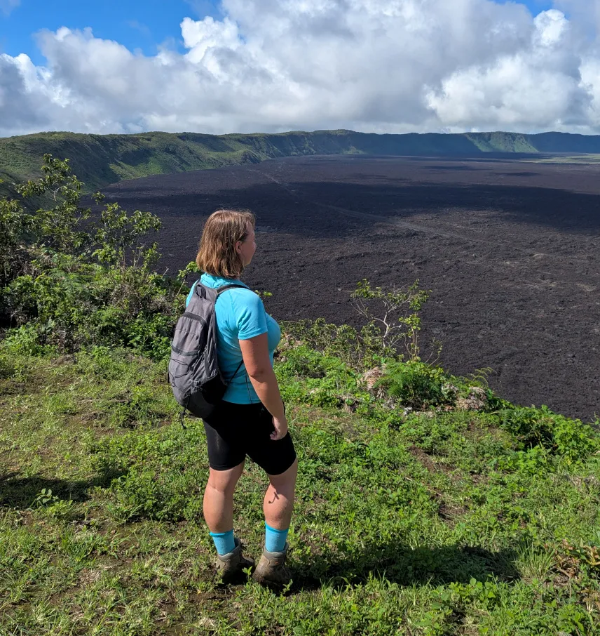 Picture of Caldera of Sierra Negra Volcano