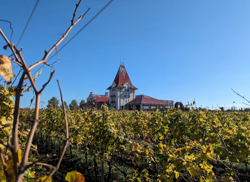 Picture of Winery Vinarija Zvonko Bogdan