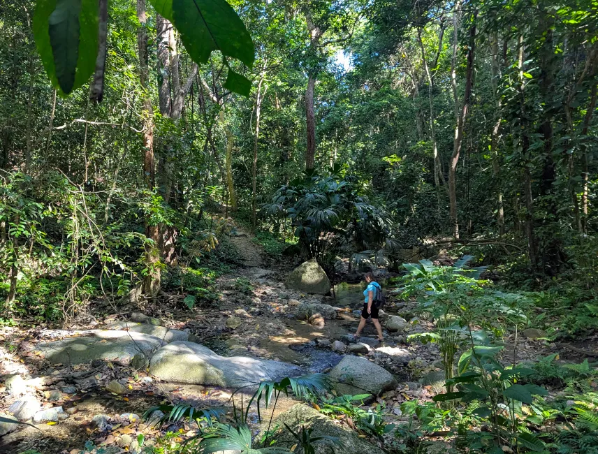 Picture of Hike in Tayrona National Park