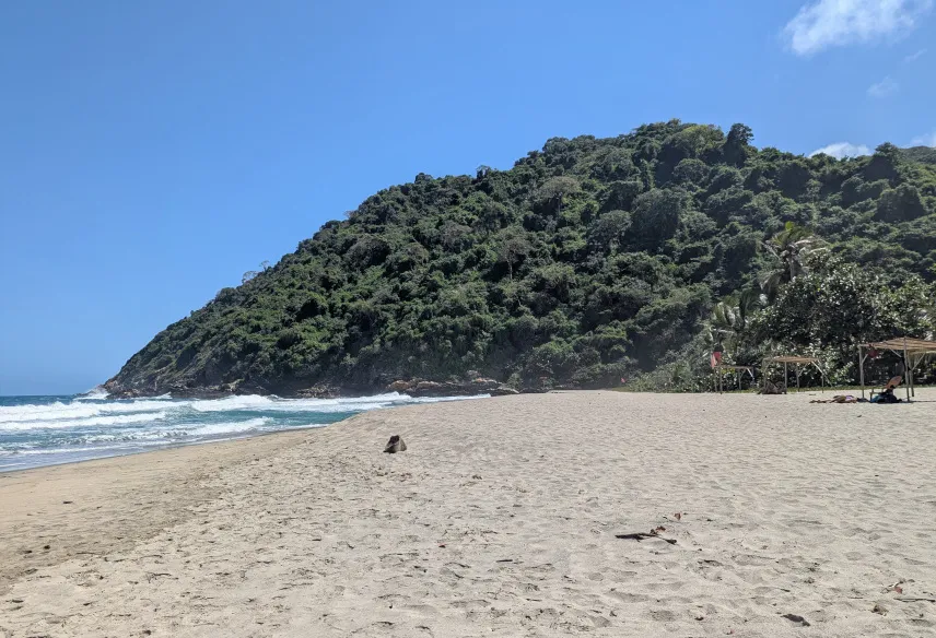 Picture of Playa Brava Tayrona National Park