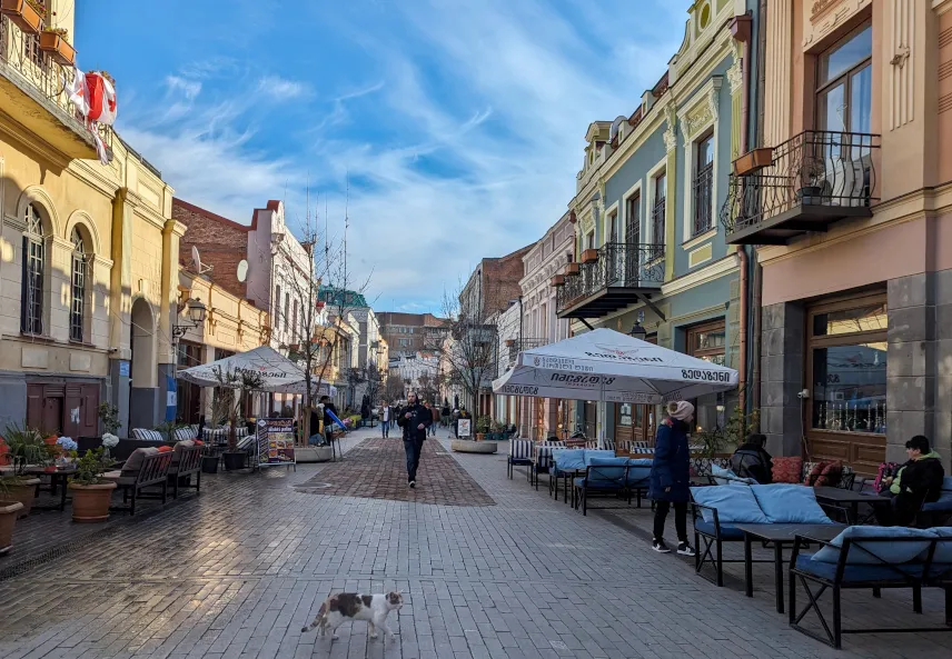 Picture of Davit Aghmashenebeli Ave