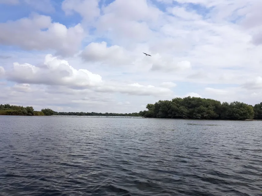 Picture of Danube Delta