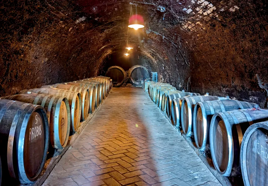 Picture of Museum of Beekeeping and Winery Živanović