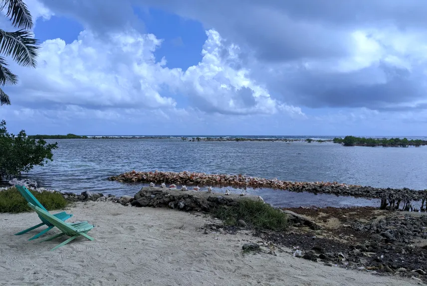 Picture of Relaxing on Tobacco Caye